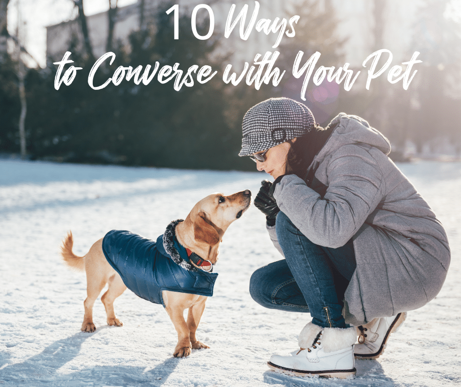 10 Ways to Converse with Your Pet