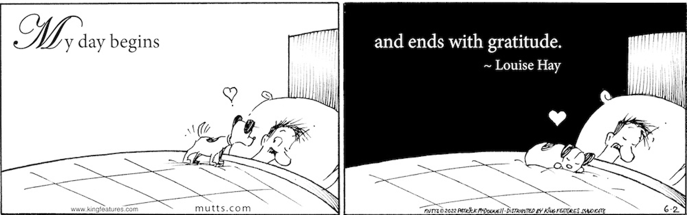 The Soulful Wisdom of Mutts